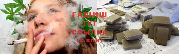 индика Володарск