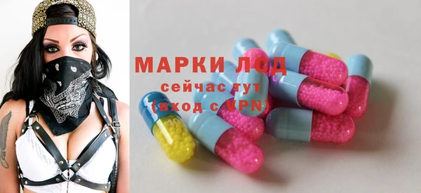 индика Володарск