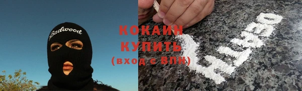 индика Володарск