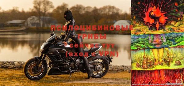 стаф Волоколамск