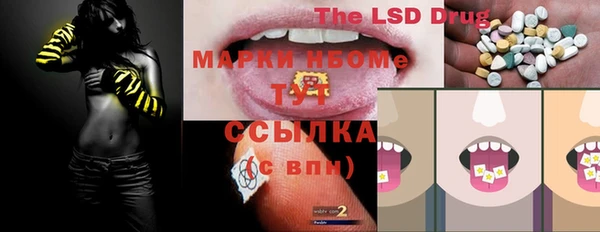 индика Володарск