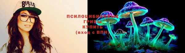 индика Володарск