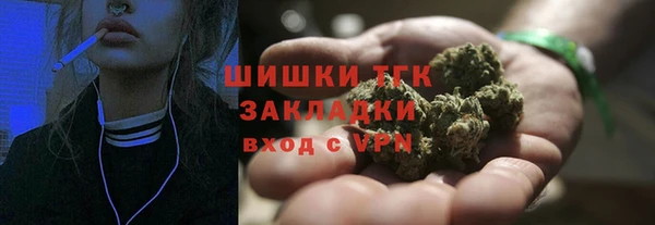 соль ск Волосово