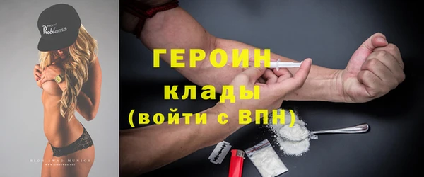 индика Володарск
