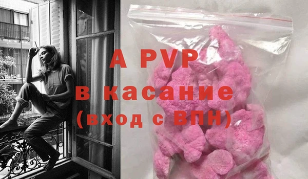 стаф Волоколамск