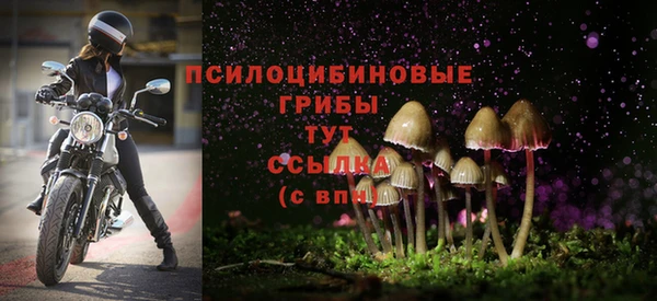 стаф Волоколамск