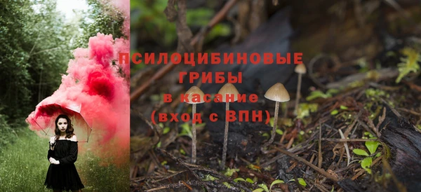 стаф Волоколамск