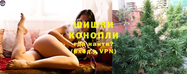 стаф Волоколамск