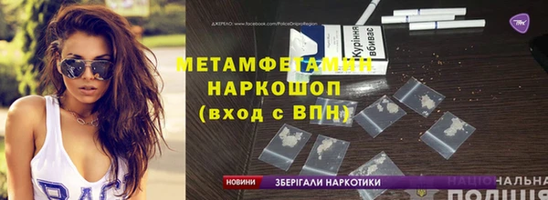 индика Володарск