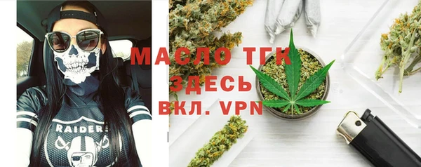 индика Володарск
