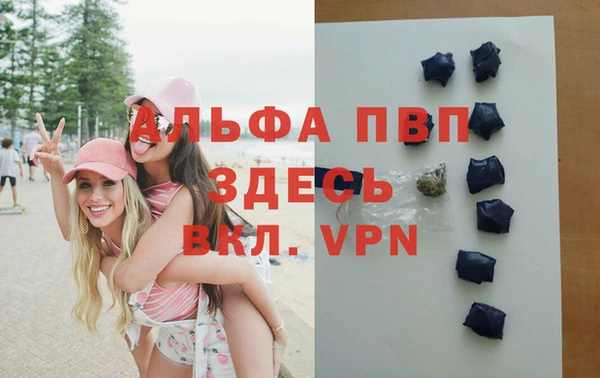 индика Володарск
